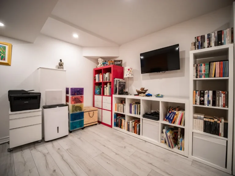 Basement Apartment Ideas